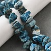 Natural Apatite Beads Strands G-I283-F23-1