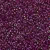 MIYUKI Round Rocailles Beads X-SEED-G009-RR3529-3