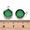 K9 Glass Charms X1-GLAA-T023-37B-05-3