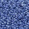 8/0 Ceylon Round Glass Seed Beads X-SEED-A011-3mm-146-2