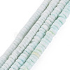 Sea Shell Beads Strands SSHEL-T014-49-1