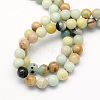 Natural Flower Amazonite Round Beads Strands G-S161-10mm-2