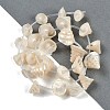 Natural Shell Beads Strands SHEL-K009-11-2