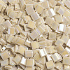 MIYUKI TILA Beads X-SEED-J020-TL488-4