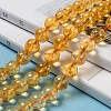 Natural Citrine Beads Strands LS-G-E326-10mm-01-6