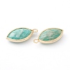 Natural Amazonite Pendants G-B009-01G-L-2
