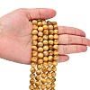 Natural Gold Tiger Eye Beads Strands G-G212-8mm-18-5