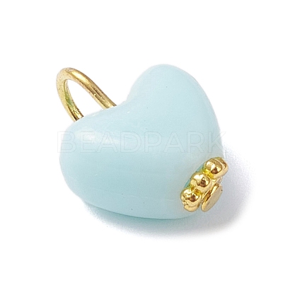 Opaque Polystyrene Plastic Pendants PALLOY-JF04353-02-1