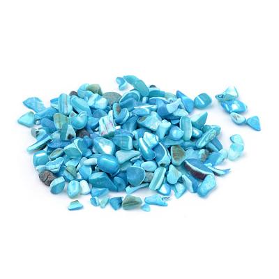 Natural Sea Shell Beads SSHEL-Q299-017A-1