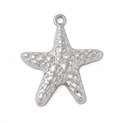 304 Stainless Steel Pendants STAS-K312-09B-P-1