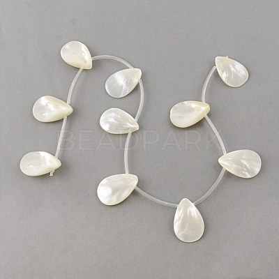 Natural Sea Shell Beads Strands SSHEL-Q296-01-1