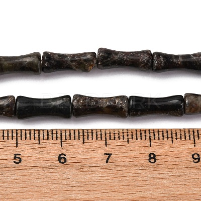 Natural Biotite Beads Strands G-L624-G09-12x5mm-1