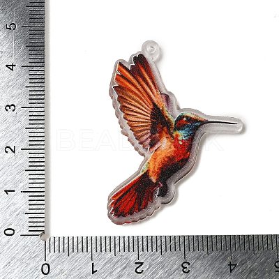 Acrylic Pendants OACR-O007-02D-1