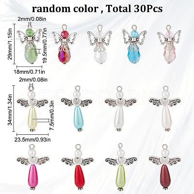 30Pcs 2 Style Alloy Pendants FIND-SC0004-06-1