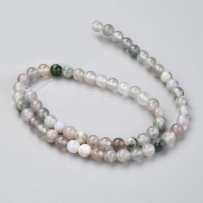 Natural Tree Agate Beads Strands G-I199-03-6mm-1