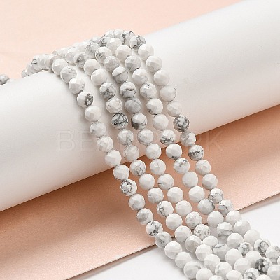 Natural Howlite Beads Strands G-E608-A01-C-1