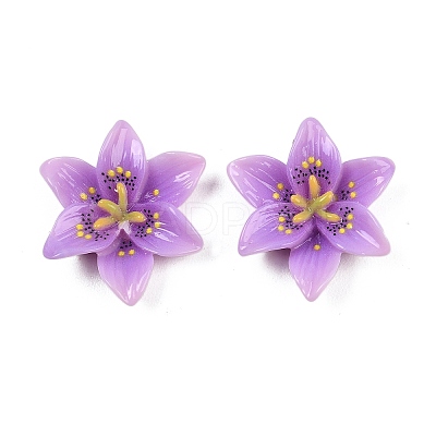 Opaque Resin Pendants CRES-D328-04A-1