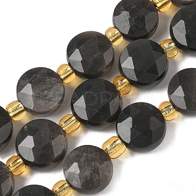 Natural Silver Sheen Obsidian Beads Strands G-G271-C08-10mm-1