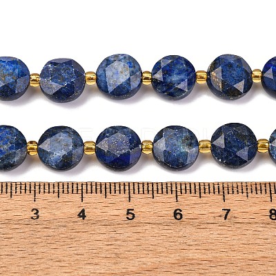 Natural Lapis Lazuli Beads Strands G-C116-A110-01-1