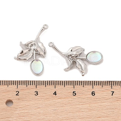 Alloy & Resin Pendants LS-FIND-Z053-04A-03-1