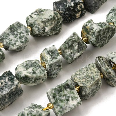 Raw Rough Natural Green Spot Jasper Beads Strands G-Z087-B16-1