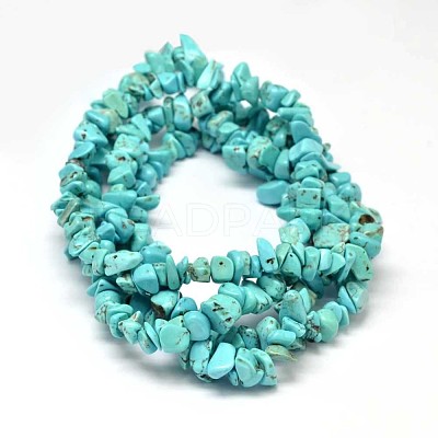 Chip Dyed Natural Howlite Bead Strands X-G-L454-06-1