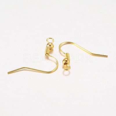 Iron Earring Hooks X-E135-G-1