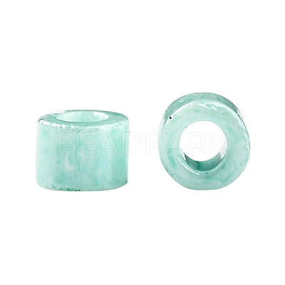 Cylinder Seed Beads SEED-H001-H07-1