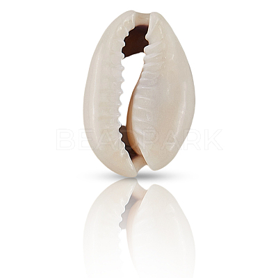 100Pcs Natural Cowrie Shell Beads BSHE-LT0001-08-1