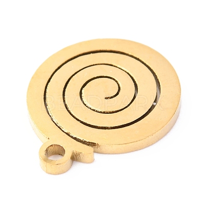 304 Stainless Steel Charms STAS-O142-10G-1