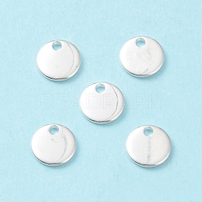 304 Stainless Steel Charms STAS-L234-081A-S-1