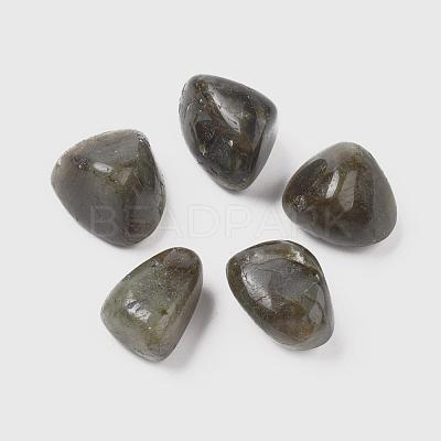 Natural Labradorite Beads G-K302-A09-1