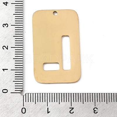 304 Stainless Steel Pendants STAS-D200-01L-G-1