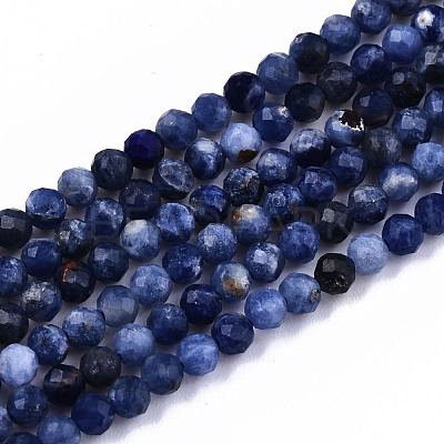 Natural Sodalite Beads Strands G-S362-070-1
