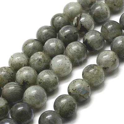 Natural Labradorite Bead Strands G-P256-01-8mm-1