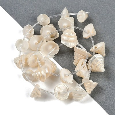 Natural Shell Beads Strands SHEL-K009-11-1