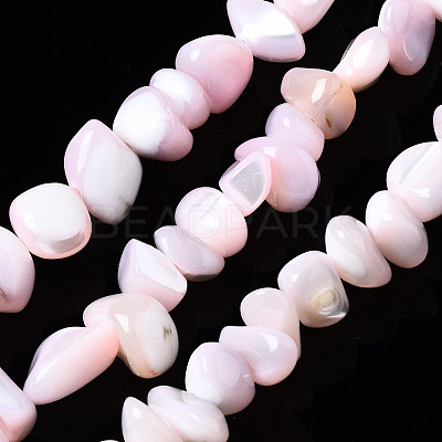 Natural Trochid Shell/Trochus Shell Bead Strands SSHEL-N034-78-C02-1