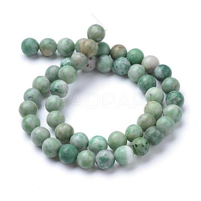 Natural Green Spot Jasper Beads Strands G-T055-8mm-16-1