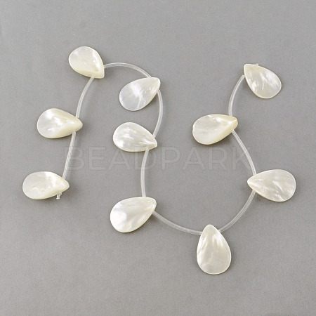 Natural Sea Shell Beads Strands SSHEL-Q296-01-1