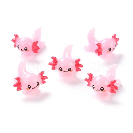 Resin Decoden Cabochons X-RESI-I043-05-1