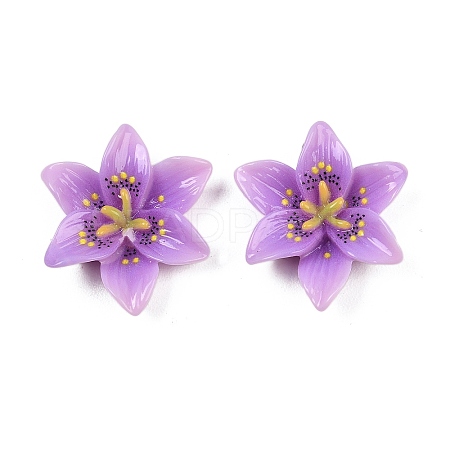 Opaque Resin Pendants CRES-D328-04A-1