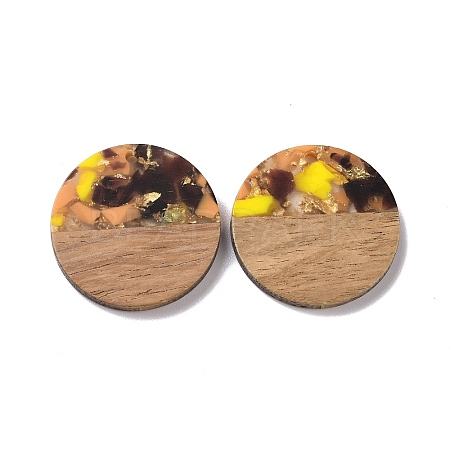 Transparent Resin & Walnut Wood Pendants RESI-N025-045A-1
