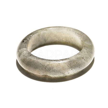Natural Labradorite Finger Rings PW-WG87157-03-1