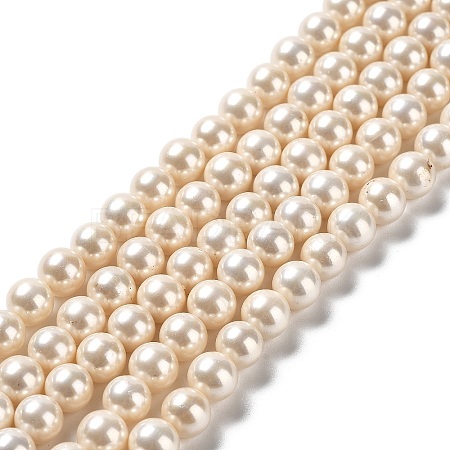 Shell Pearl Bead Strands BSHE-L025-08-6mm-01-1