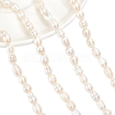 2 Strands Natural Cultured Freshwater Pearl Beads Strands PEAR-NB0001-10-1
