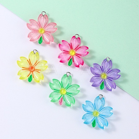 Transparent Resin Pendants RESI-A046-05H-1