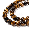 Natural Tiger Eye Beads Strands G-J303-11-8mm-3