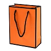 Rectangle Paper Bags with Twisted Rope Handles CARB-L011-01A-02-1