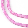 Natural Freshwater Shell Dyed Beads Strands SHEL-M018-12-10-3