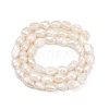 Natural Cultured Freshwater Pearl Beads Strands PEAR-P064-20H-02A-3
